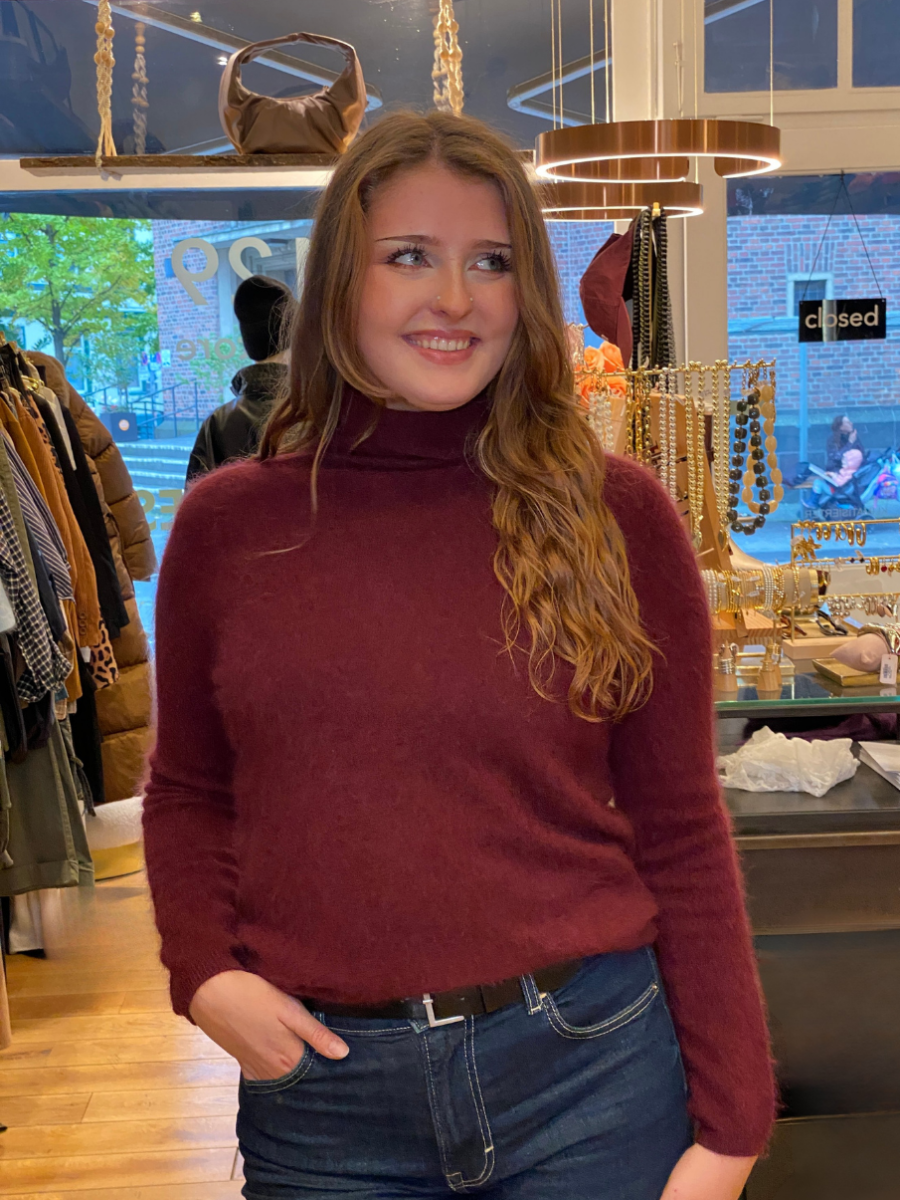 N°129 Pullover Astoria Cashmere Rollkragen